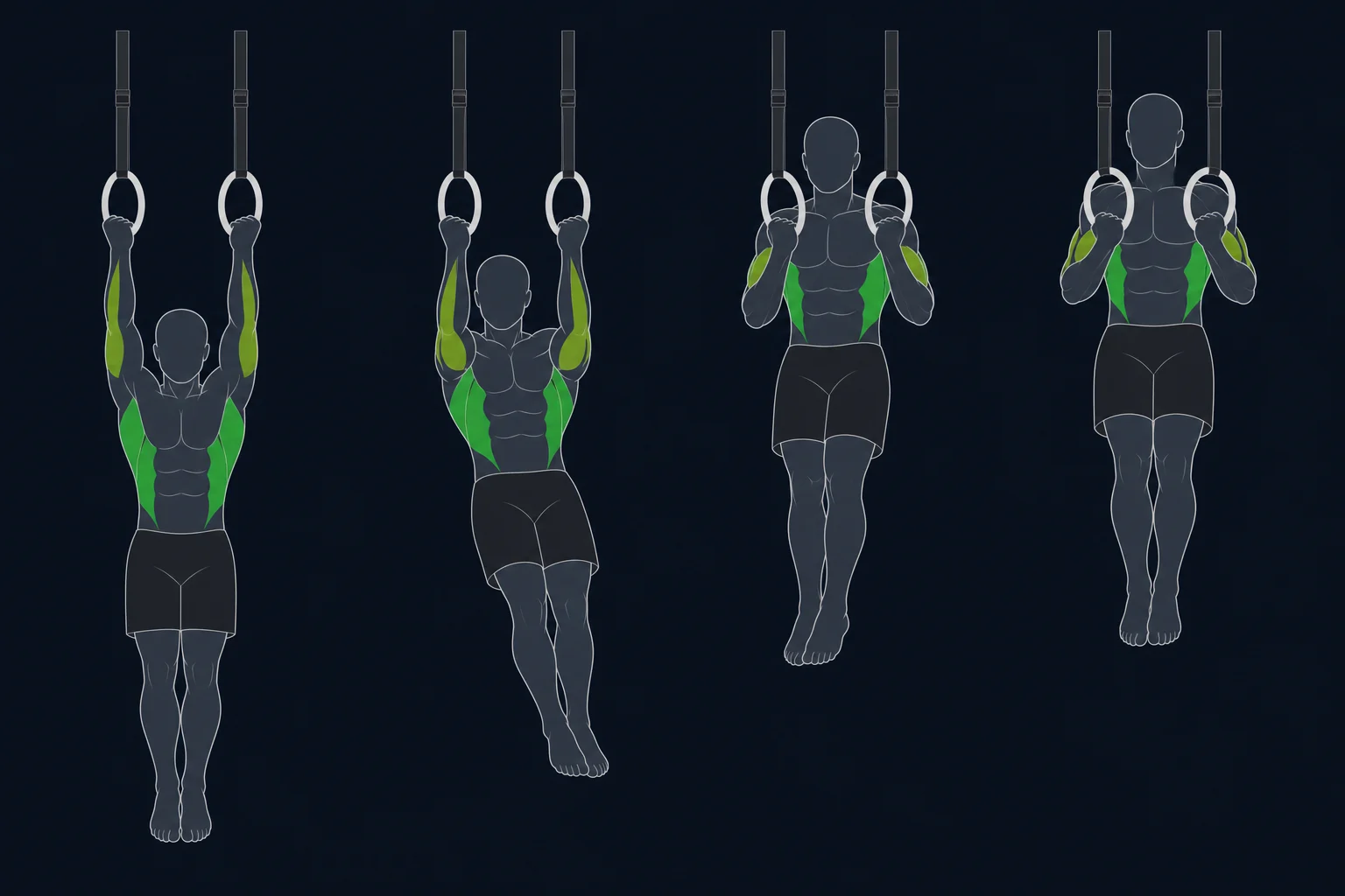Chin-up - Chinup: Chin-up i ringer