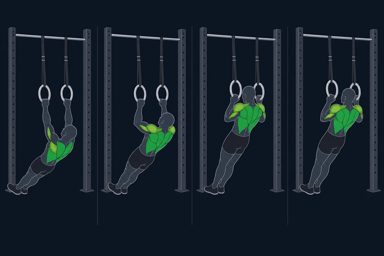 Inverted Row - Omvendt Roing: Omvendt roing i ringer