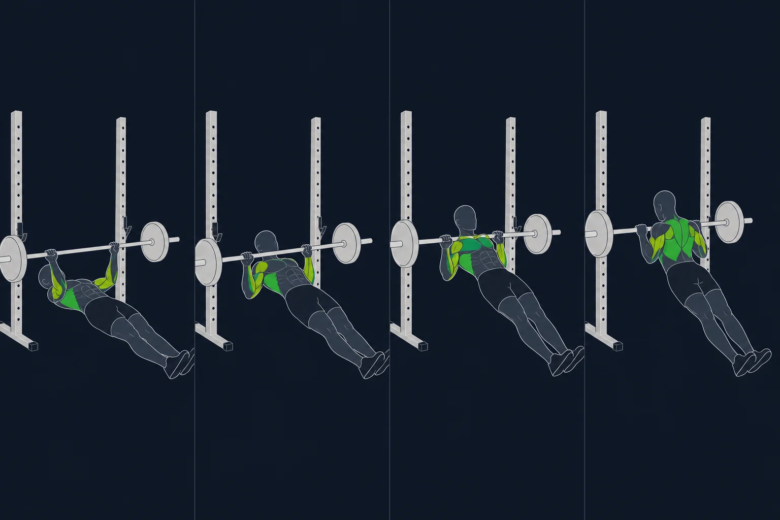 Inverted Row - Omvendt Roing: Omvendt roing med lav stang
